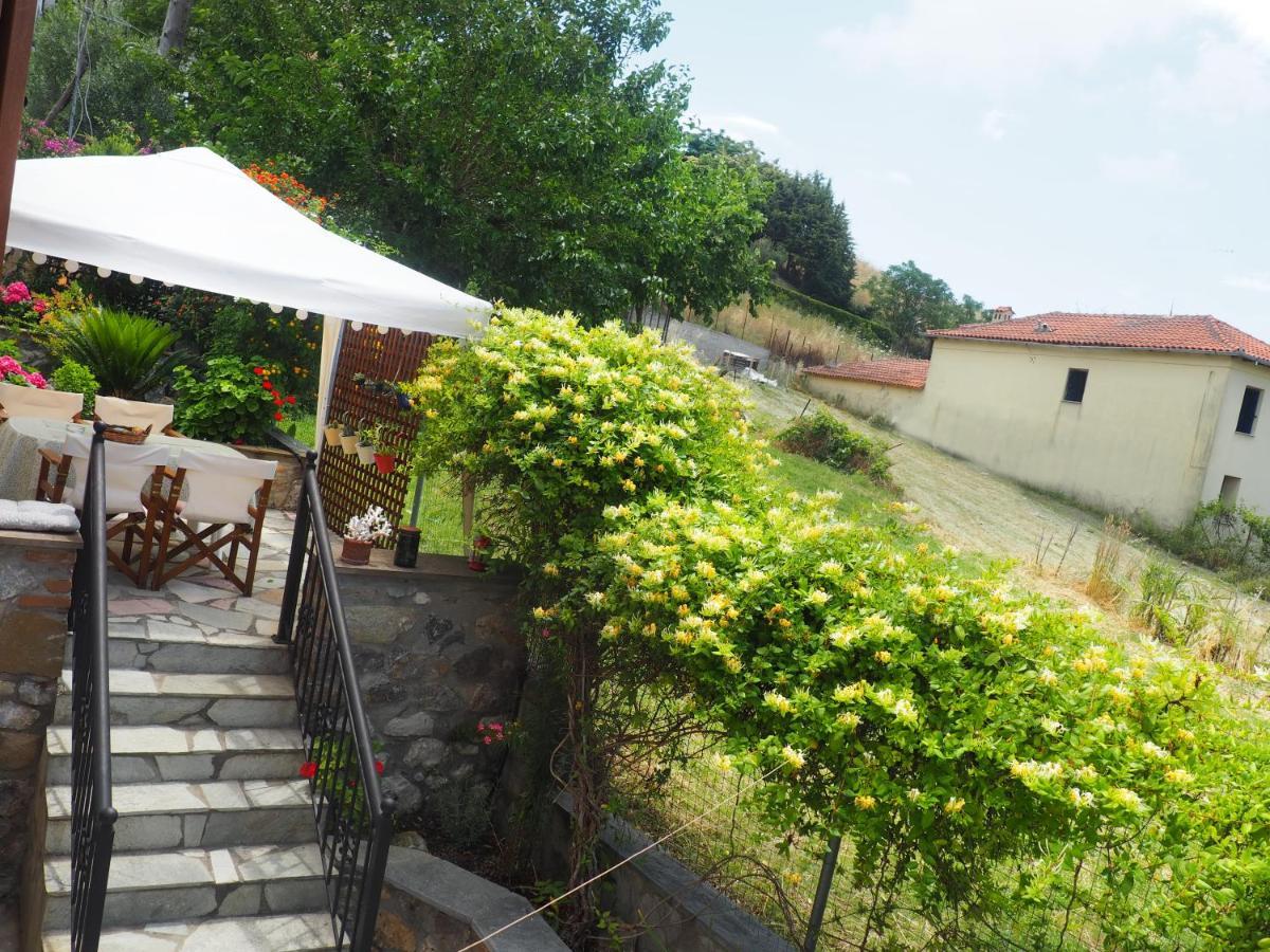 Paliouri House Βίλα Εξωτερικό φωτογραφία