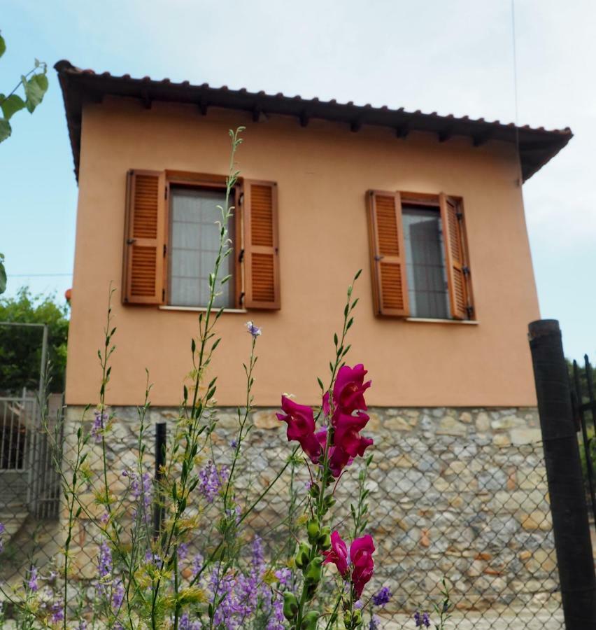 Paliouri House Βίλα Εξωτερικό φωτογραφία